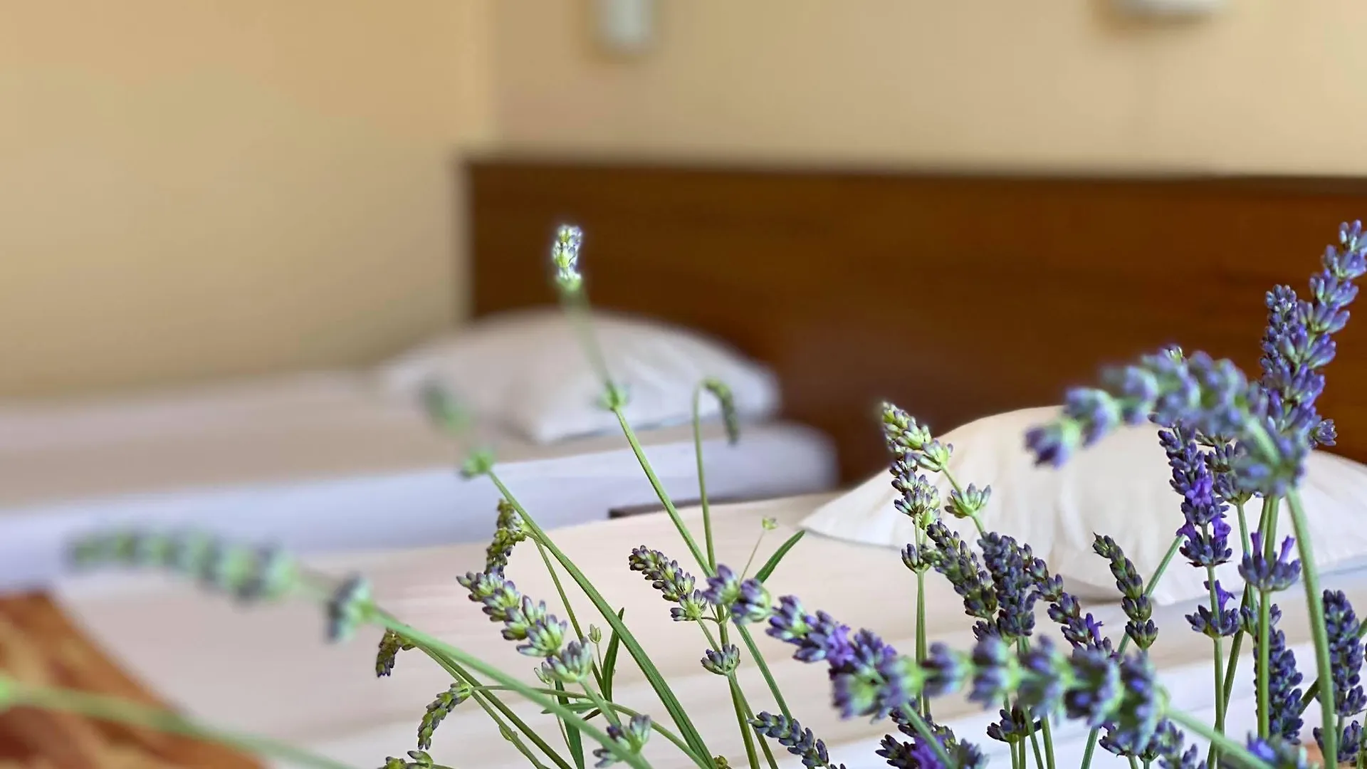 Hotel Plamena Palace Primorsko
